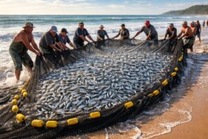 Semana Santa: milagre das sardinhas em Itapuã
